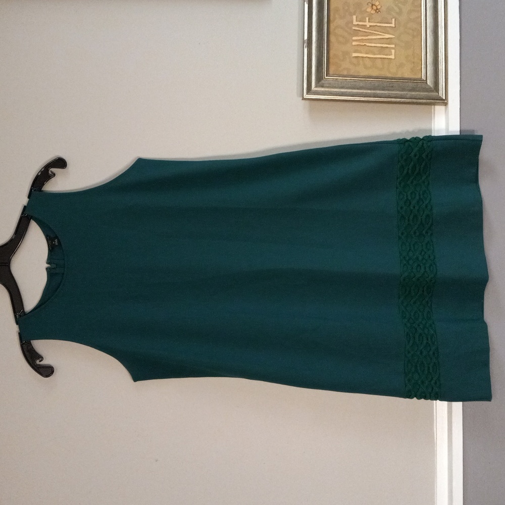 Ann Taylor Petite, Hunter Green, Sleeveless, Embroidered, Zip Back Dress - Picture 11 of 11